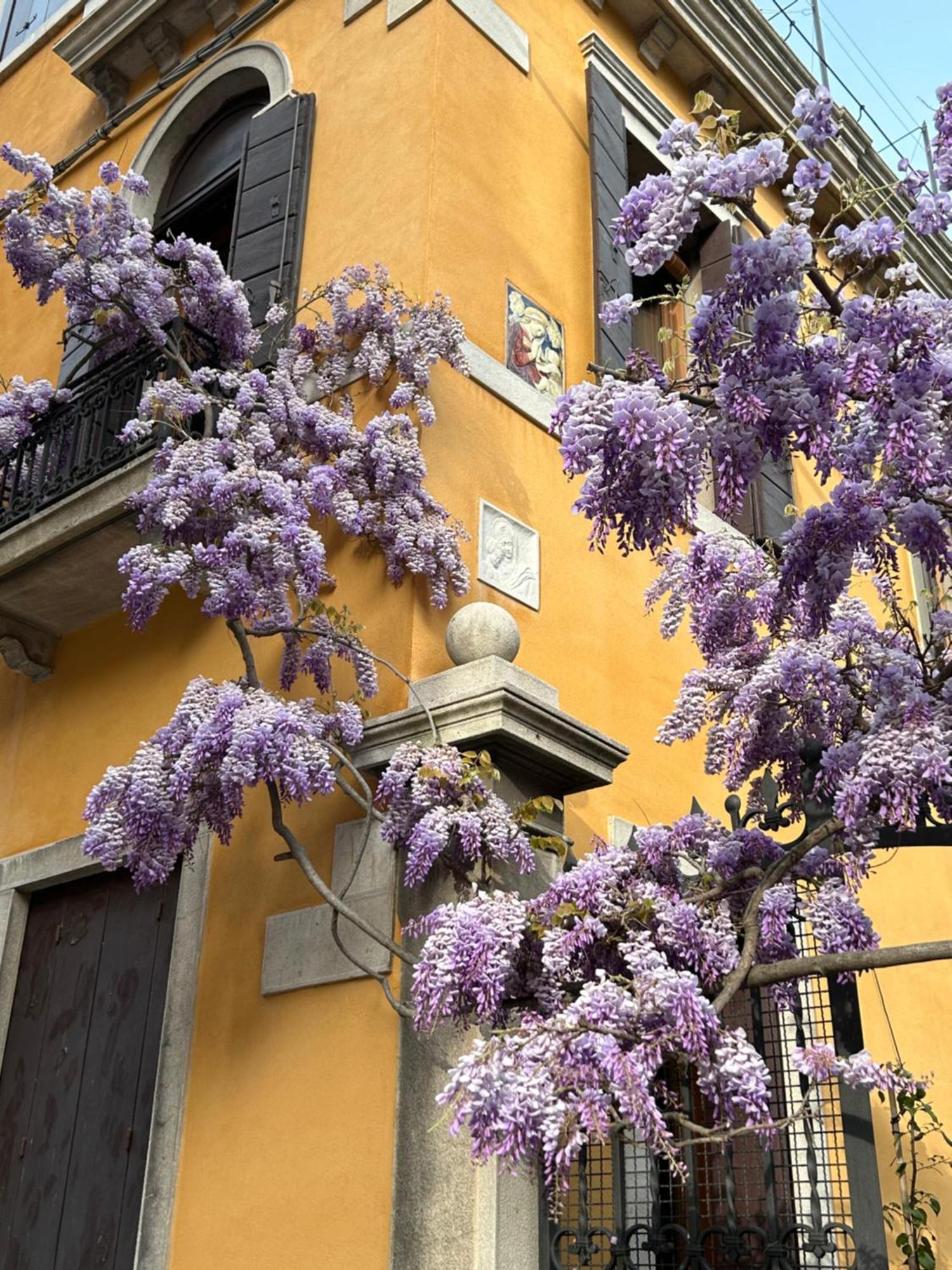 Carbonaia Venezia Hotel Kültér fotó